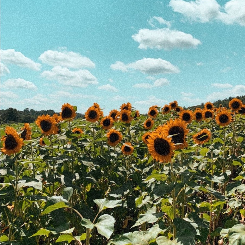 Meet your Posher, Kylie